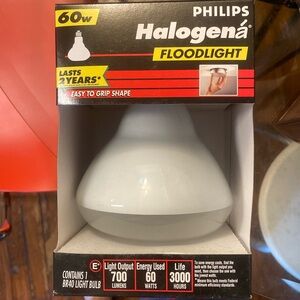 Philips Halogen Floodlight